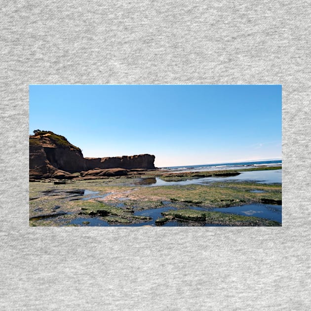 Otter Crest Beach Oregon by supernova23